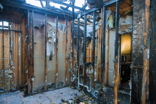 Professional Fire Damage Removal technician working in McKinney, TX