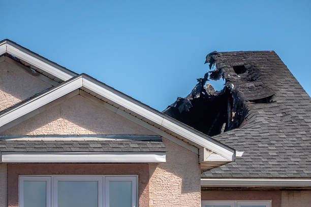 Top rated local Fire Damage Removal specialists in McKinney, TX